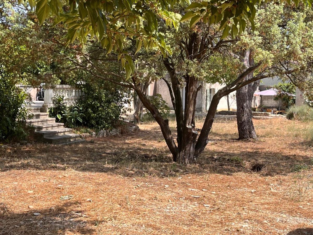 Maisonnette Independante Avec Jardin/Patio Nîmes Eksteriør bilde